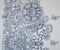White-Dark Blue Nylon Floral Border Printed Mesh Tulle Fabric By the Yard